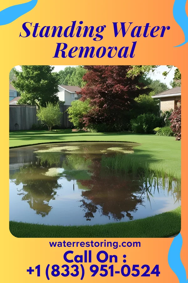 Standing Water Removal in Spring Bay, IL